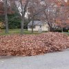 Great fall cleaning in Watertown MA - Power Washing Great fall cleaning in Watertown MA